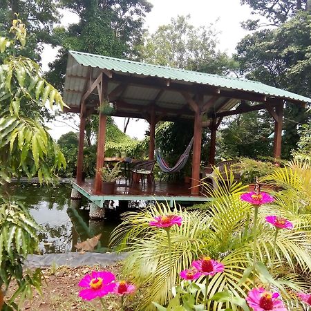 Greenhouse Loft Miravalles Aguas Claras  Εξωτερικό φωτογραφία
