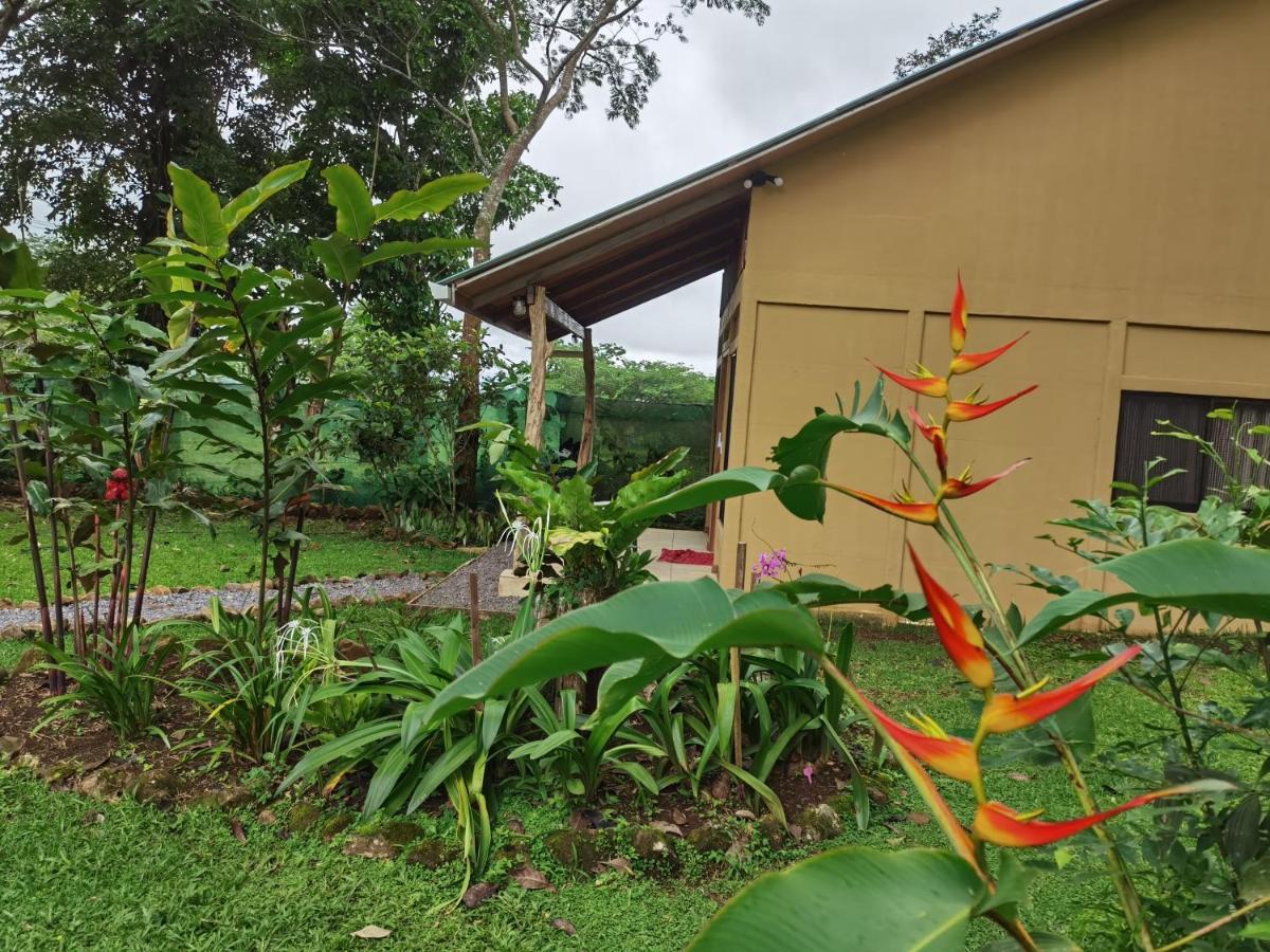 Greenhouse Loft Miravalles Aguas Claras  Εξωτερικό φωτογραφία