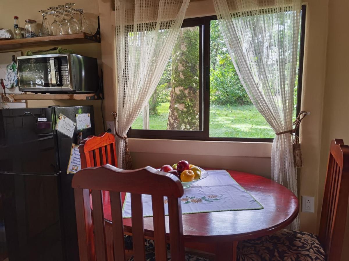 Greenhouse Loft Miravalles Aguas Claras  Εξωτερικό φωτογραφία