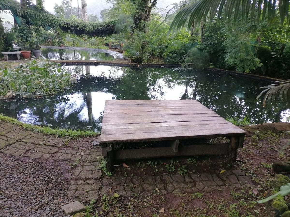 Greenhouse Loft Miravalles Aguas Claras  Εξωτερικό φωτογραφία