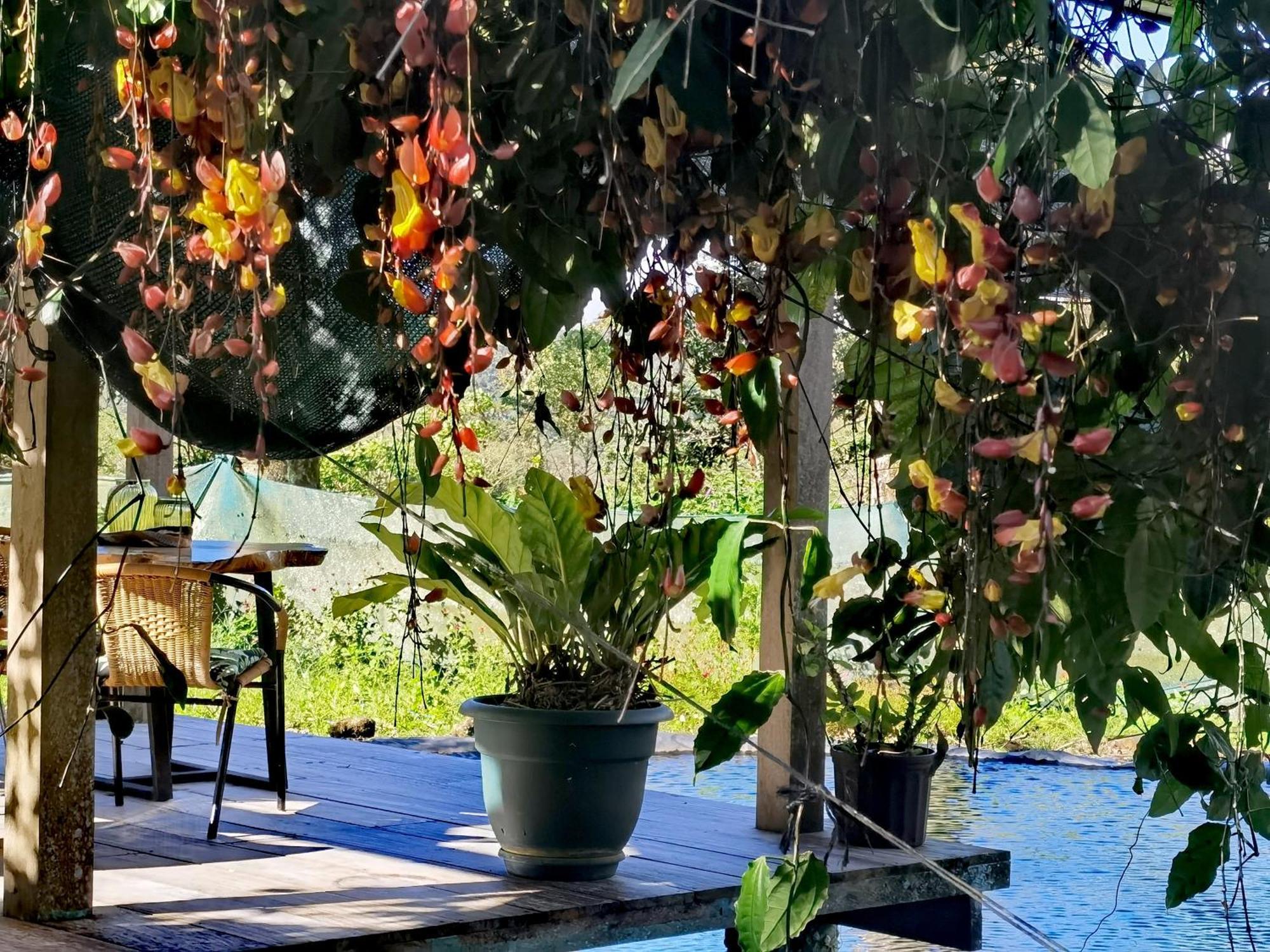 Greenhouse Loft Miravalles Aguas Claras  Εξωτερικό φωτογραφία