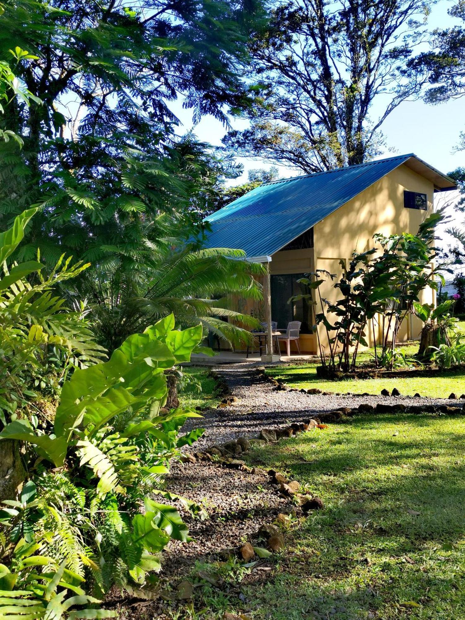Greenhouse Loft Miravalles Aguas Claras  Εξωτερικό φωτογραφία