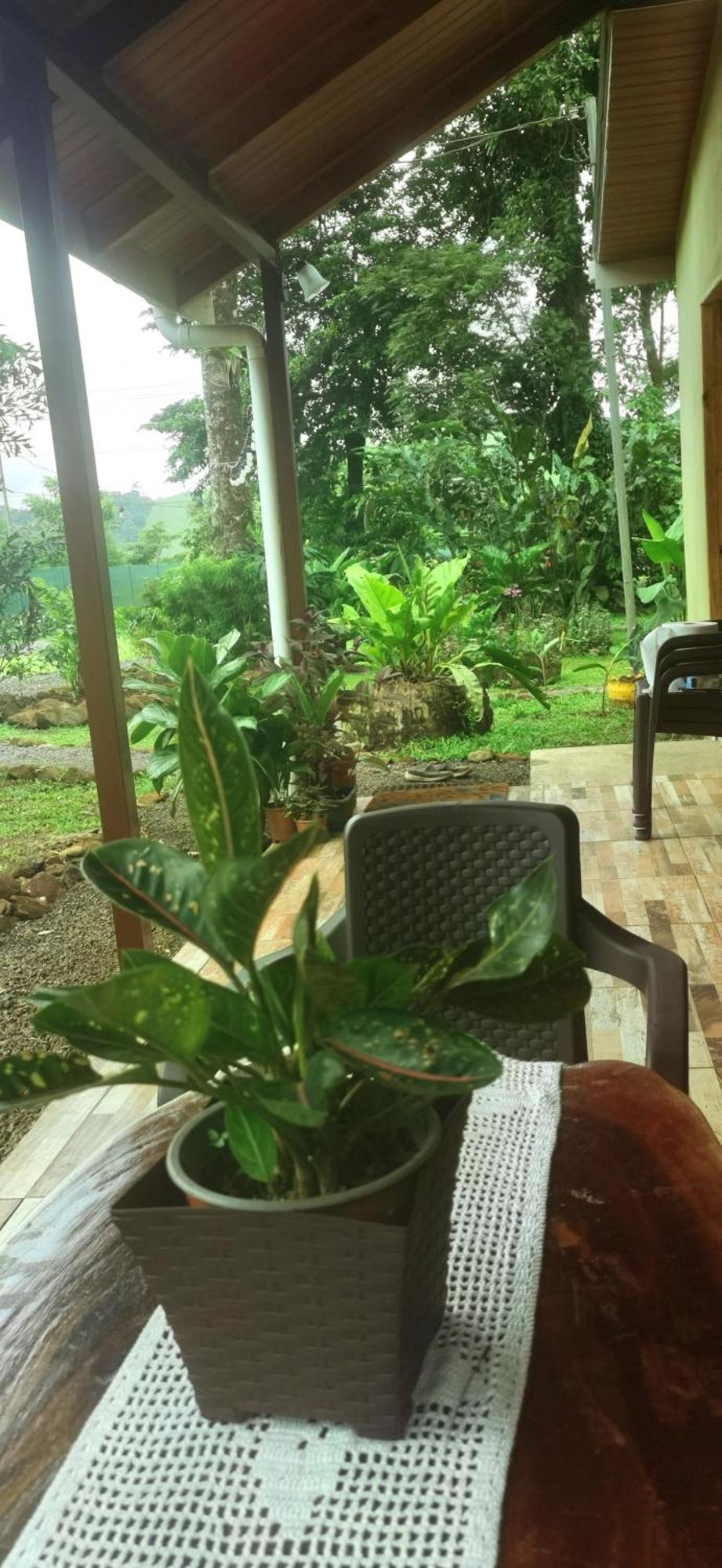 Greenhouse Loft Miravalles Aguas Claras  Εξωτερικό φωτογραφία